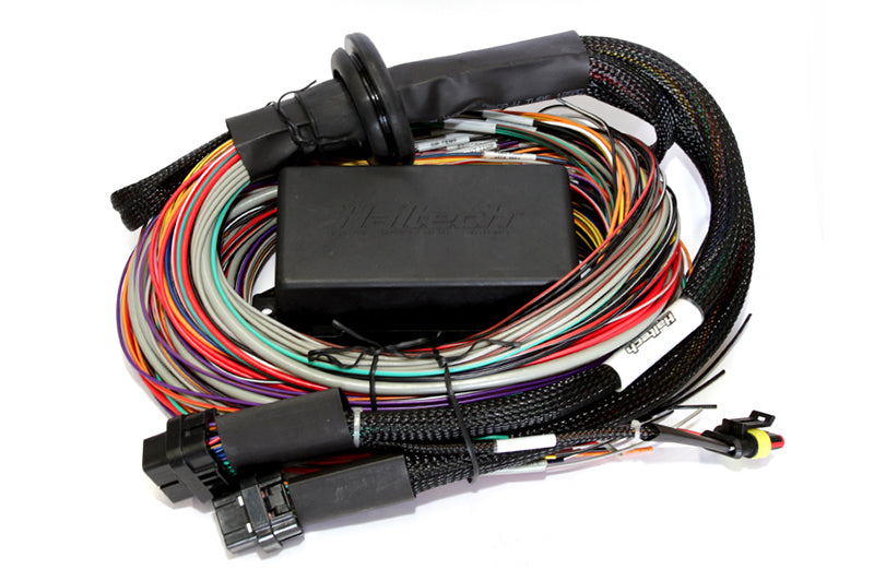 Haltech Elite 2500 & 2500 T 8ft Premium Universal Wire-In Harness.