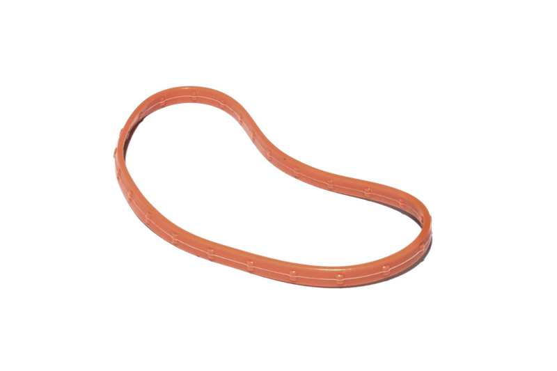 FAST O-Ring Seal For 102MM Throttle.