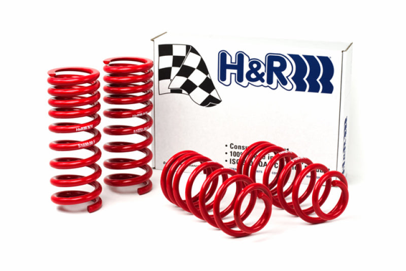 H&R 94-95 Ford Mustang/Mustang Cobra V8 Race Spring.