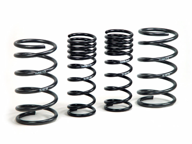 H&R 00-05 Ford Focus/Focus SVT DAW Sport Spring (Non Wagon).