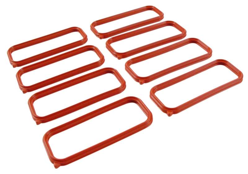 FAST Replacement Intake Port Seals.
