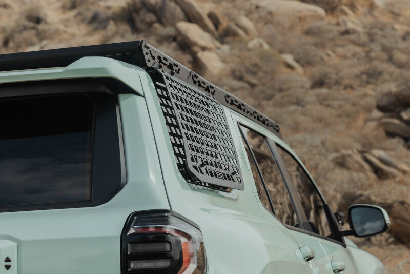 Photo - Close Up