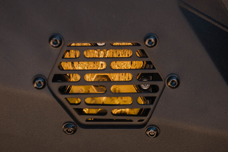 Photo - Close Up