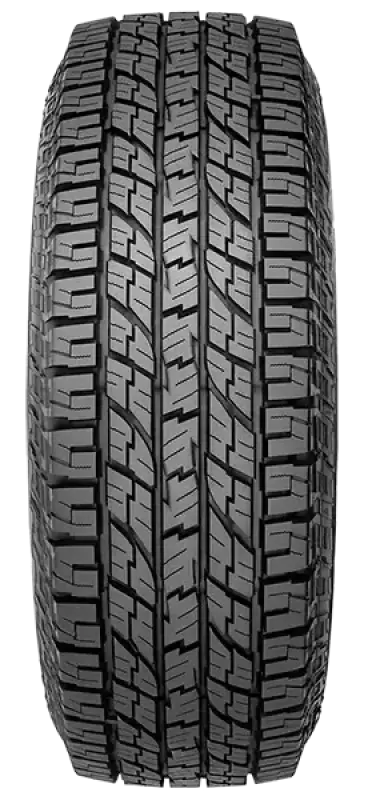 Photo - Close Up