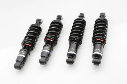 Audi R8 07-15 Alpine Series Scale Suspension
