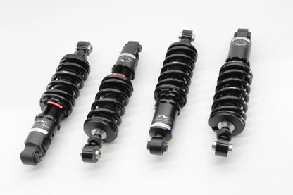 Audi R8 07-15 Alpine Series Scale Suspension