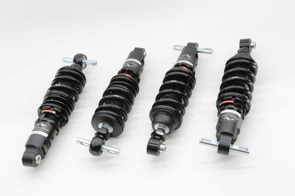 Ferrari 360 00-05 Alpine Series Scale Suspension