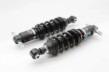 Ferrari 360 00-05 Alpine Series Scale Suspension