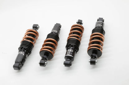 Lamborghini Gallardo 04-14 Alpine Series Scale Suspension
