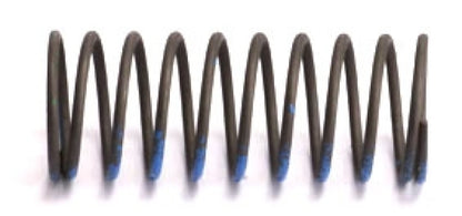 Turbosmart BOV Race Port Spring 18 In/Hg.
