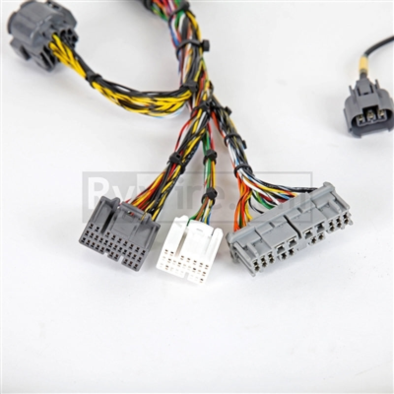 Rywire 02-04 Honda K-Series Mil-Spec Engine Harness w/OBD2 02-04 RSX K20 Sensors (Adapter Req).