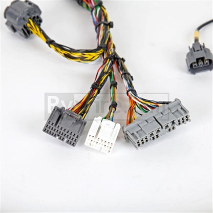 Rywire 02-04 Honda K-Series Mil-Spec Engine Harness w/OBD2 02-04 RSX K20 Sensors (Adapter Req).