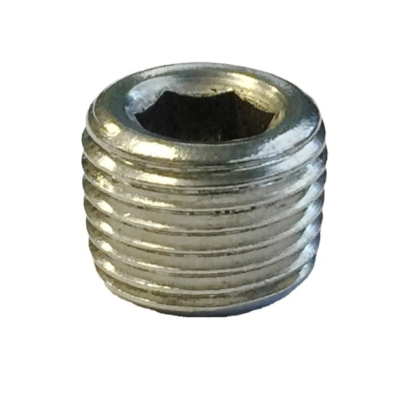 Torque Solution Stainless Steel 1/8 in NPT Plug: Universal Single Plug.