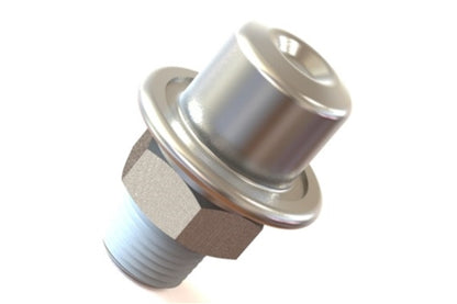 Radium Engineering Fuel Pulse Damper.