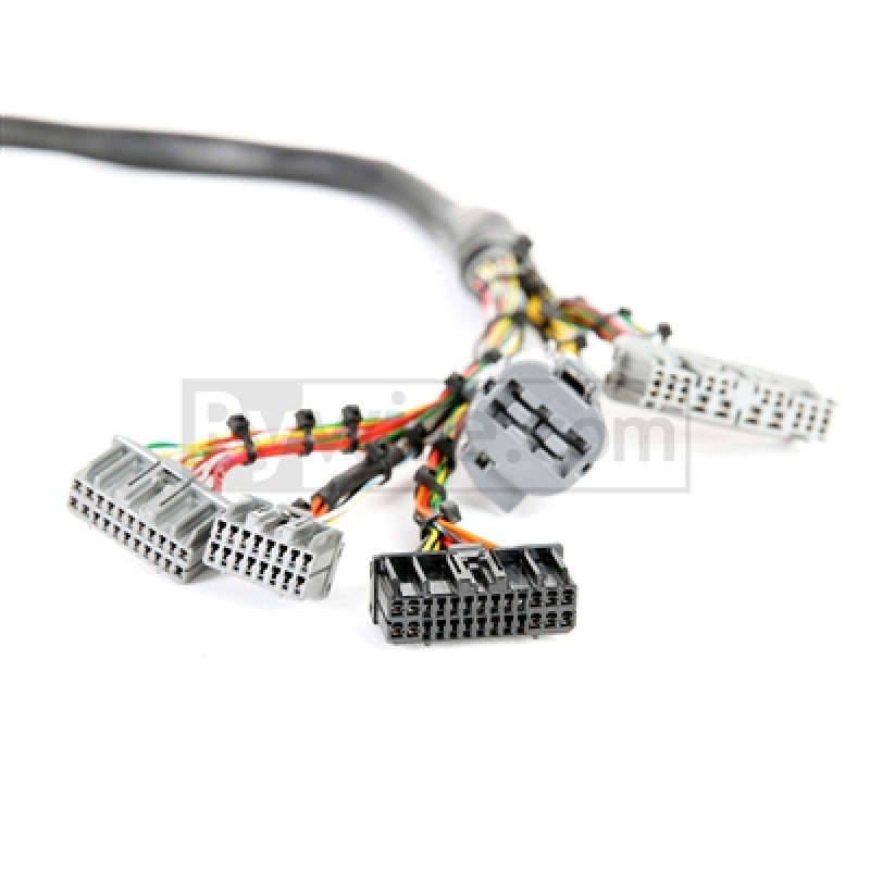 Rywire Honda B/D-Series Mil-Spec Eng Harness w/OBD1 Dist/Inj/Alternator & 92-95 Plugs (Adapter Req).