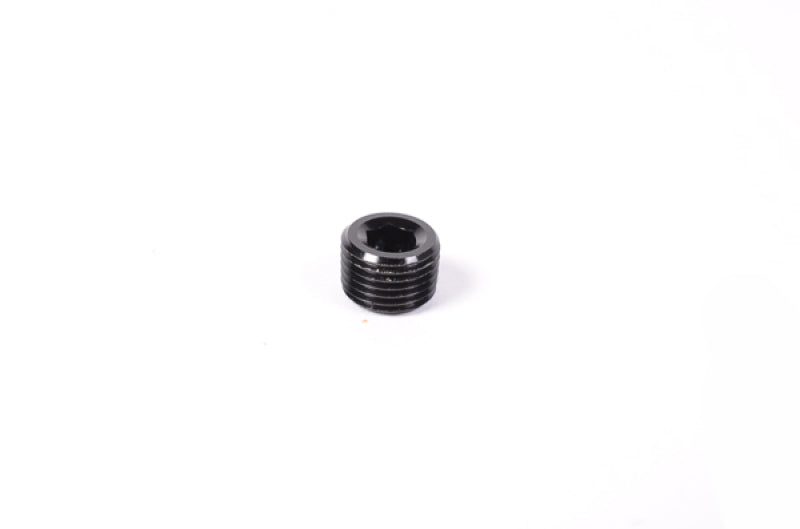 Radium Engineering 1/8in NPT Plug.