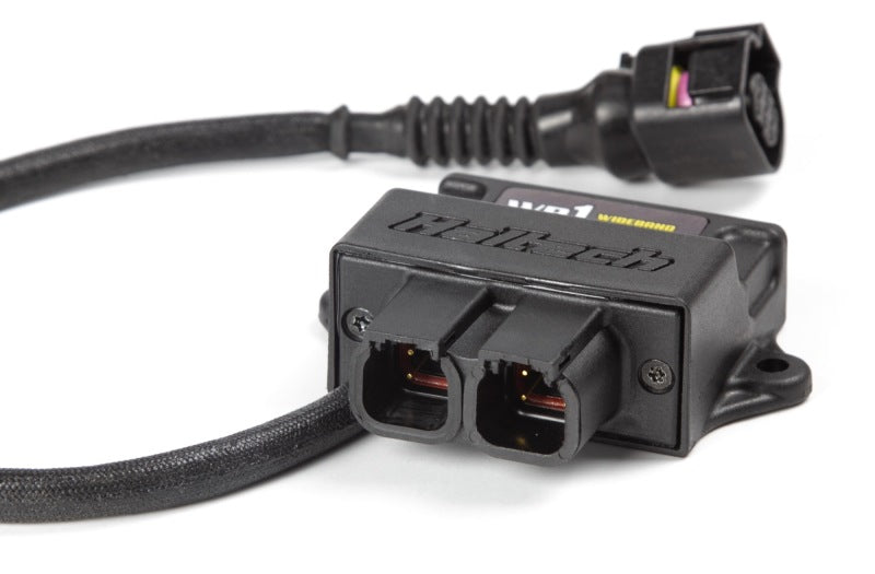 Haltech WB1 Single Channel CAN O2 Wideband Controller Kit.