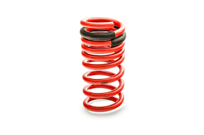 Eibach Sportline Kit for 2015 Mustang GT 5.0L V8.