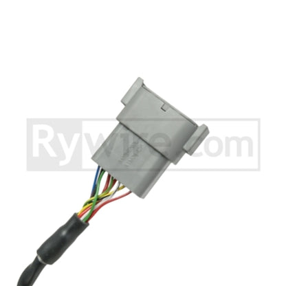 Rywire Switch Panel (6 Toggles / Will Not Work w/PDM Systems).