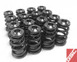 GSC P-D Subaru EJ Series Conical Valve Spring and Ti Retainer Kit.