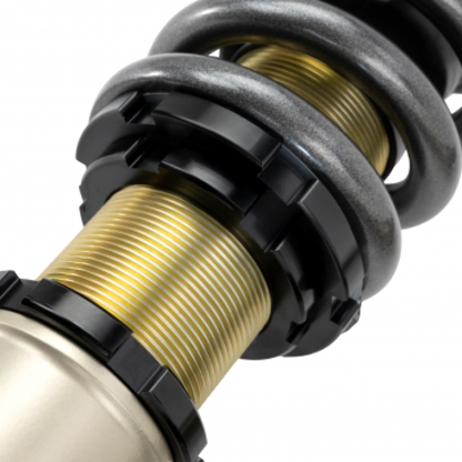 Skunk2 Pro S II Coilover Kit | 541-05-5005