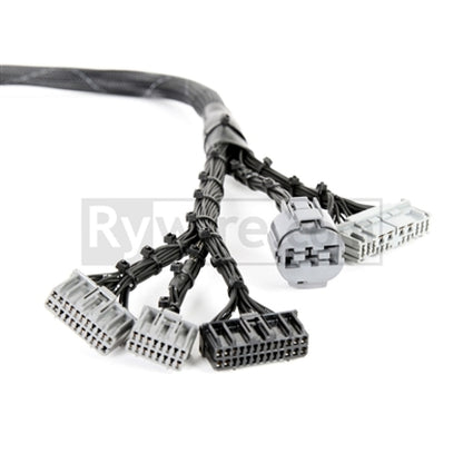 Rywire Honda B-Series OBD1 Tuck Budget Eng Harness w/OBD1 Dist/Inj/Alt/92-95 ECU Plugs (Adapter Req).
