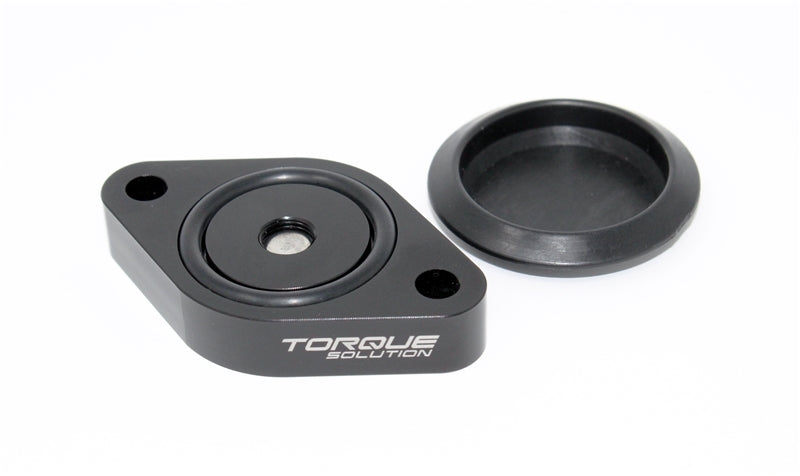 Torque Solution Sound Symposer Delete 2013+ Ford Focus ST.