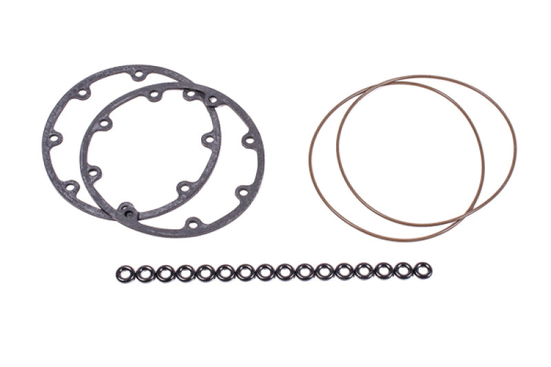 Radium Engineering Fuel Surge Tank O-Ring Service Kit.