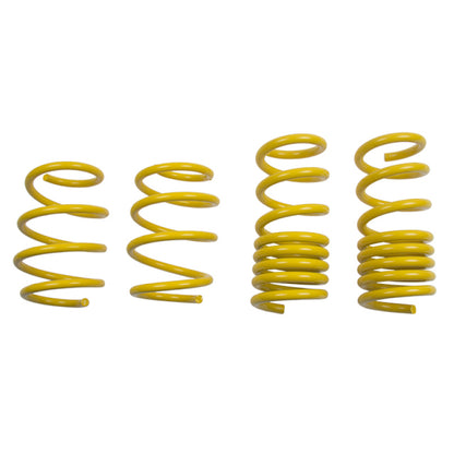 ST Lowering Springs Kit | 28230052
