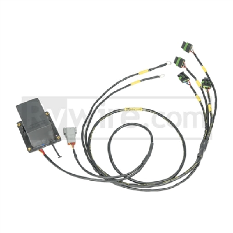 Rywire IGBT (AEM/IGN-1A) Coil Sub-Harness for 2 Rotor Engines.