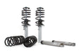 H&R 10-14 Volkswagen Golf GTI 2.0T MK6 Touring Cup Kit.