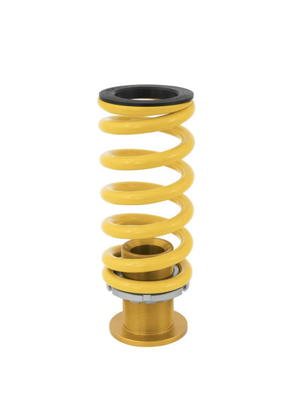 Ohlins 17-20 Honda Civic Type R (FK8) Road & Track Coilover System.