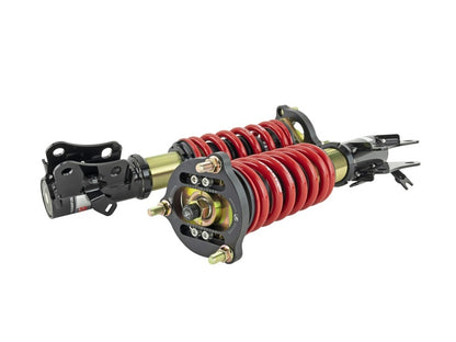 Skunk2 Pro ST Coilover Kit | 541-05-8750