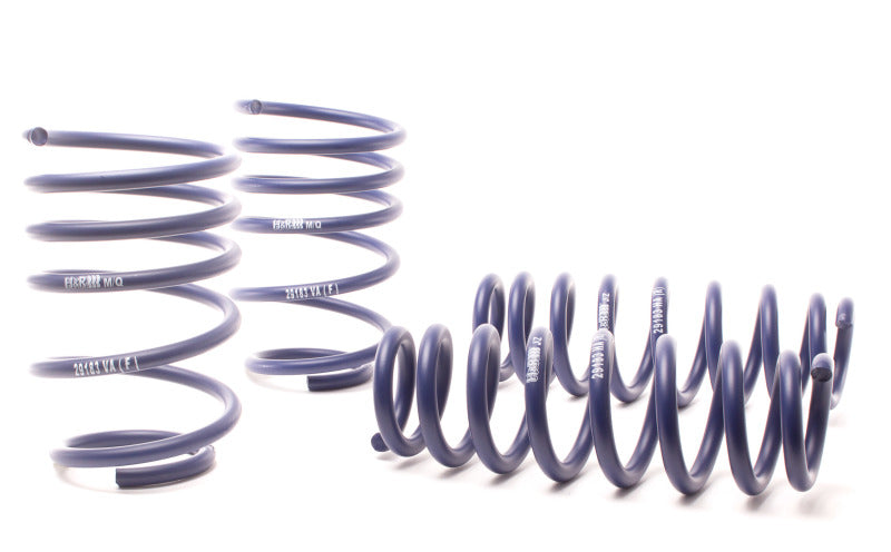 H&R 07-11 BMW 328i Sedan/335i Sedan E90 Race Spring.