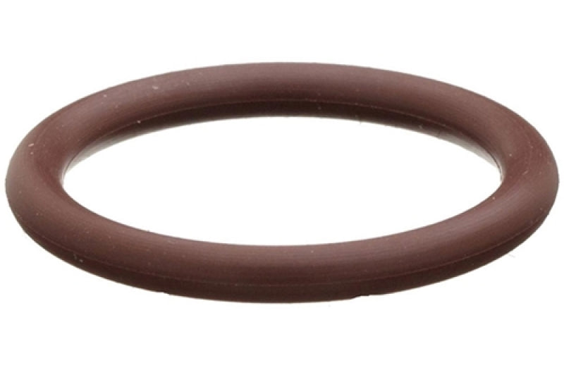 Radium Engineering O-Ring 5-Pack 6AN Viton.