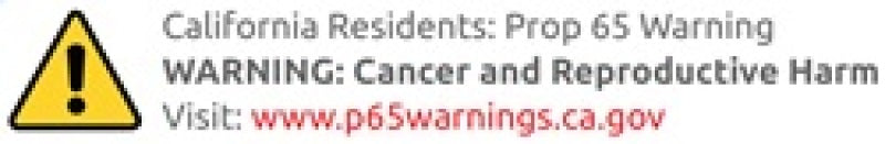 Banks Power 03-08 Ford 5.4 & 6.0L Ram Air System Air Filter Element.