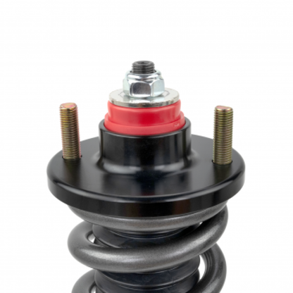 Skunk2 Pro S II Coilover Kit | 541-05-5005