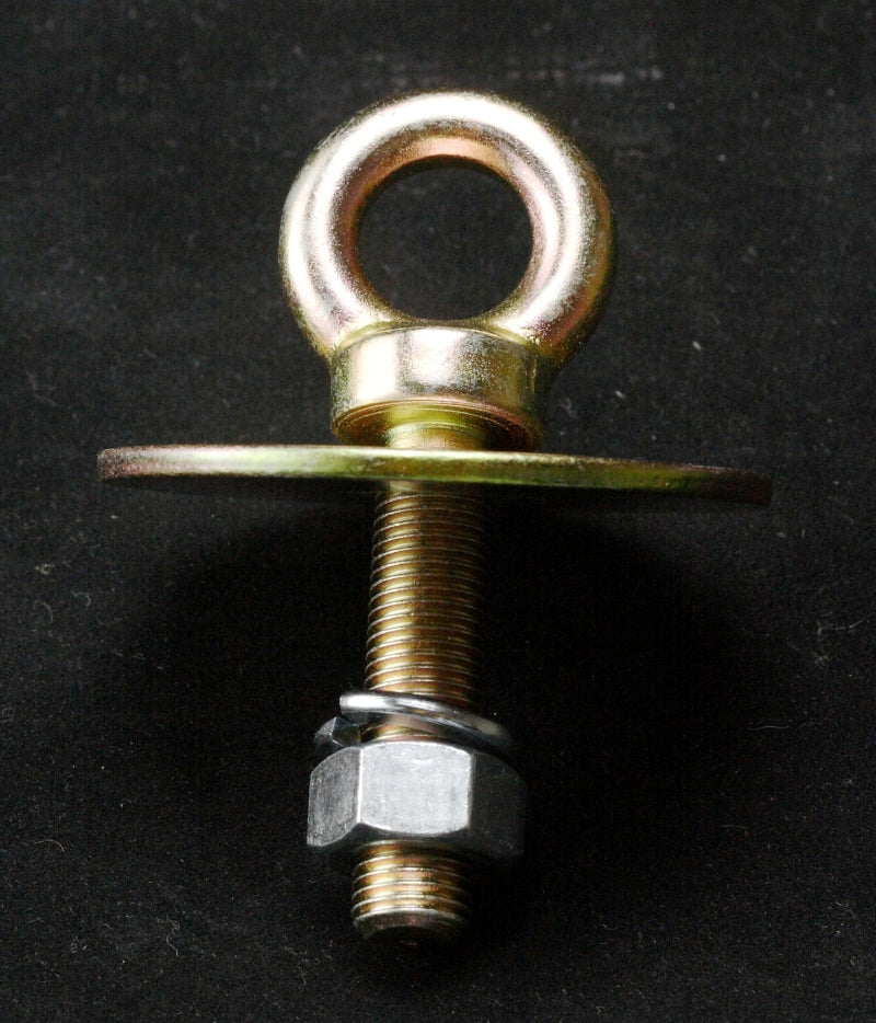 RaceQuip Long Eye Bolt - 7/16-20 Flr Mnt Kit.