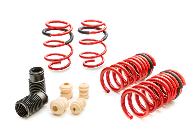Eibach Sportline Kit for 2015 Mustang GT 5.0L V8.